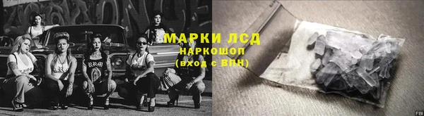 PSILOCYBIN Зерноград
