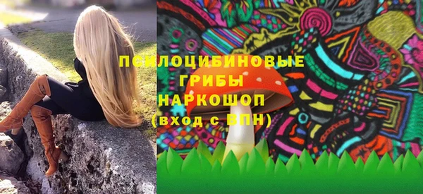 PSILOCYBIN Зерноград