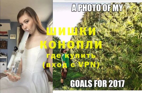 PSILOCYBIN Зерноград