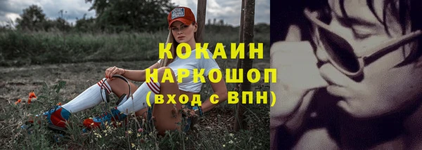PSILOCYBIN Зерноград