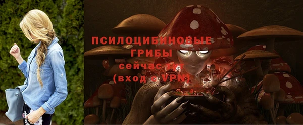 PSILOCYBIN Зерноград