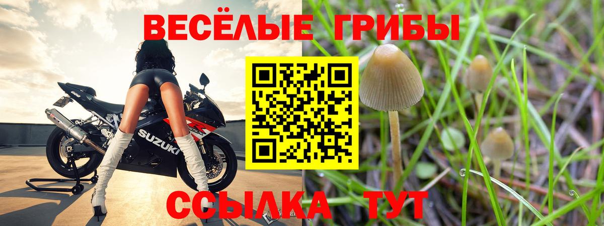 Карпинск  Галлюциногенные грибы Magic Shrooms  Псилоцибиновые грибы Psilocybe  Вход с VPN 